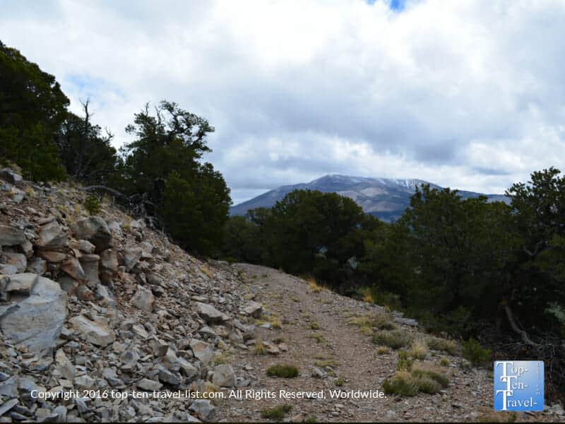 A view of the slate Mountain trail near Flagstaff, Arizona