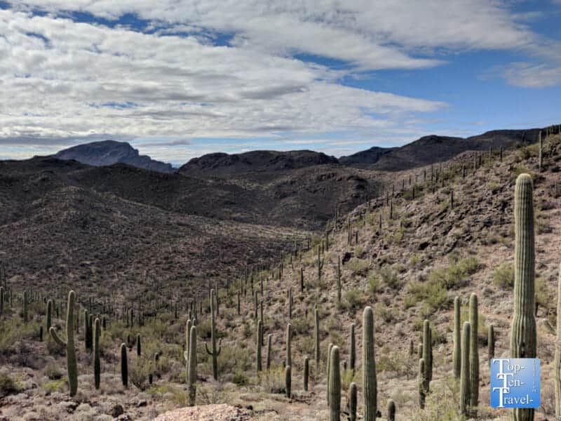 The gorgeous Bowen Hidden Canyon Trail in Tucson, Arizona