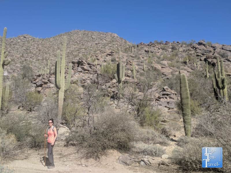 Hiking the Wild Burro trail in Tucson, Arizona
