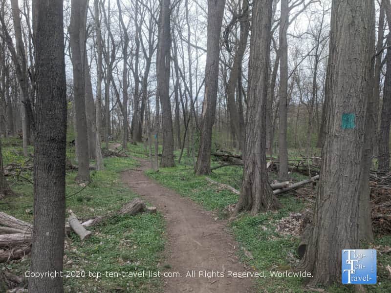 Hiking at Four Mills Nature Reserve in Ambler, Pennsylvania