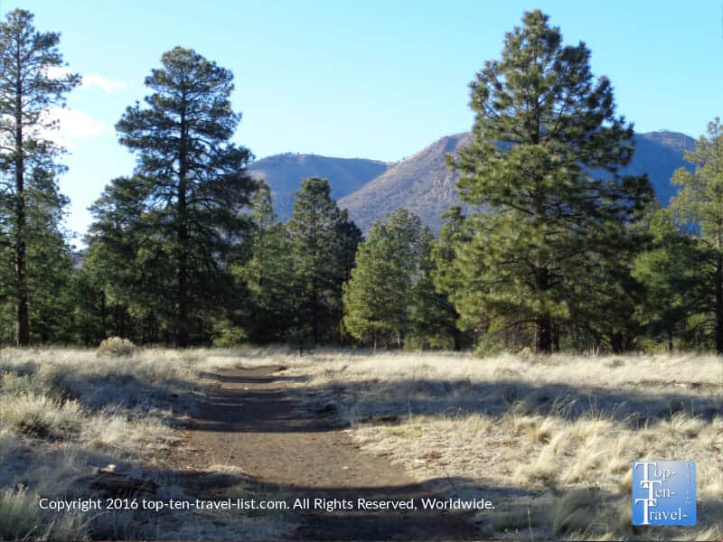 Continental Loop trail in Flagstaff, Arizona 