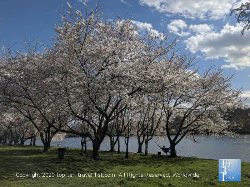The best urban parks in Philadelphia 