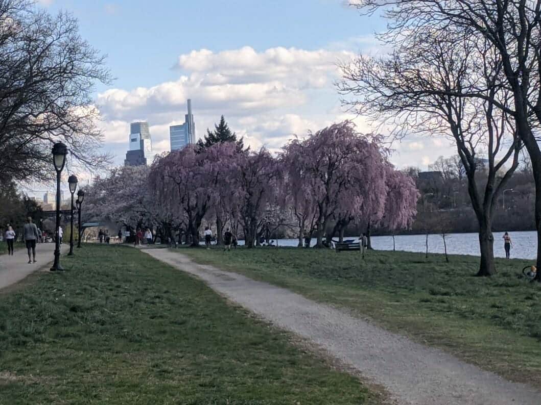Beautiful walk along the Schuylkill River trail in Philly