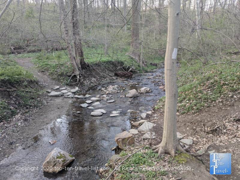 Relaxing creek views at Kenealy Nature Preserve in Gladwyne, Pennsylvania
