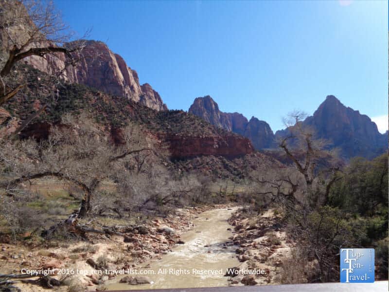 The tranquil Virgin River at Zion National Park 