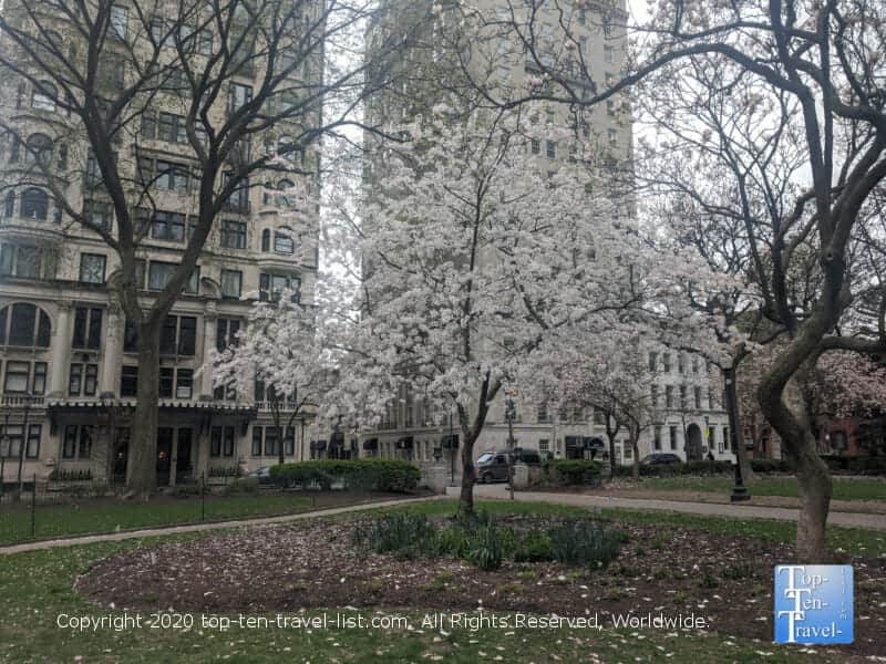Springtime at Rittenhouse Square in Center City Philadelphia 