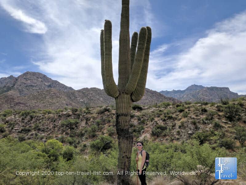 Hiking at Catalina State Park in Oro Valley, Arizona
