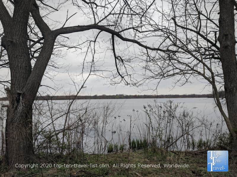 Tranquil scenery at John Heinz national wildlife refuge in Philadelphia 