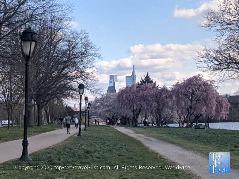 A beautiful bike ride along the Schuylkill River in Philadelphia during cherry blossom season.