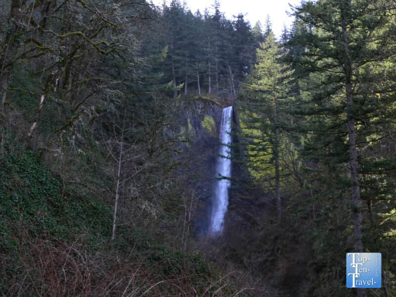 Latourell Falls in the Columbia River Gorge of Oregon 