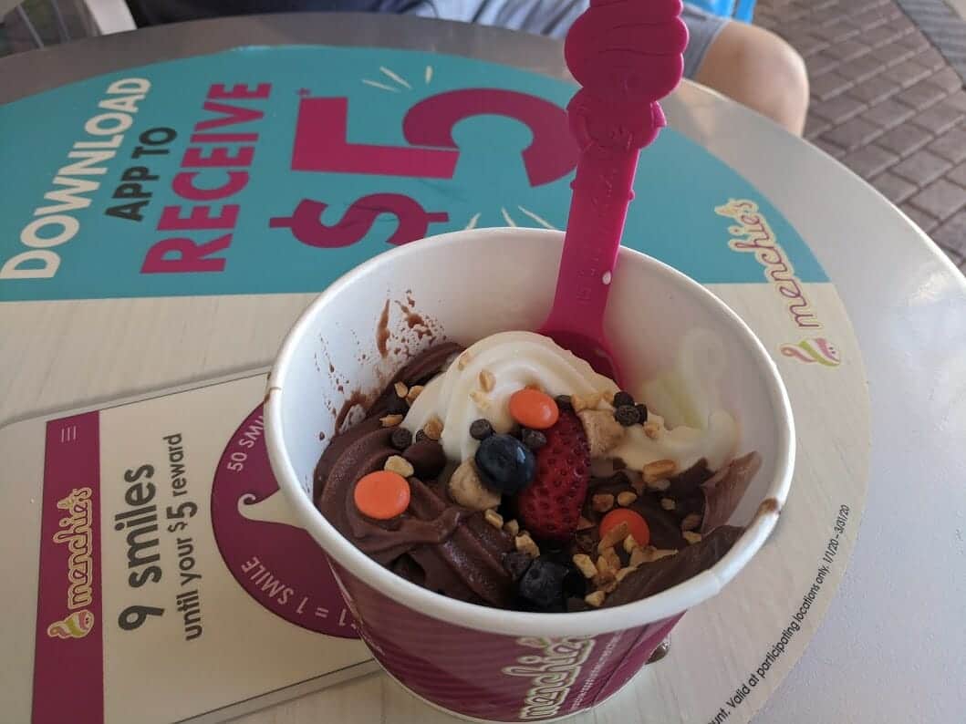Delicious frozen yogurt at Menchie's in Palm Harbor, Florida 