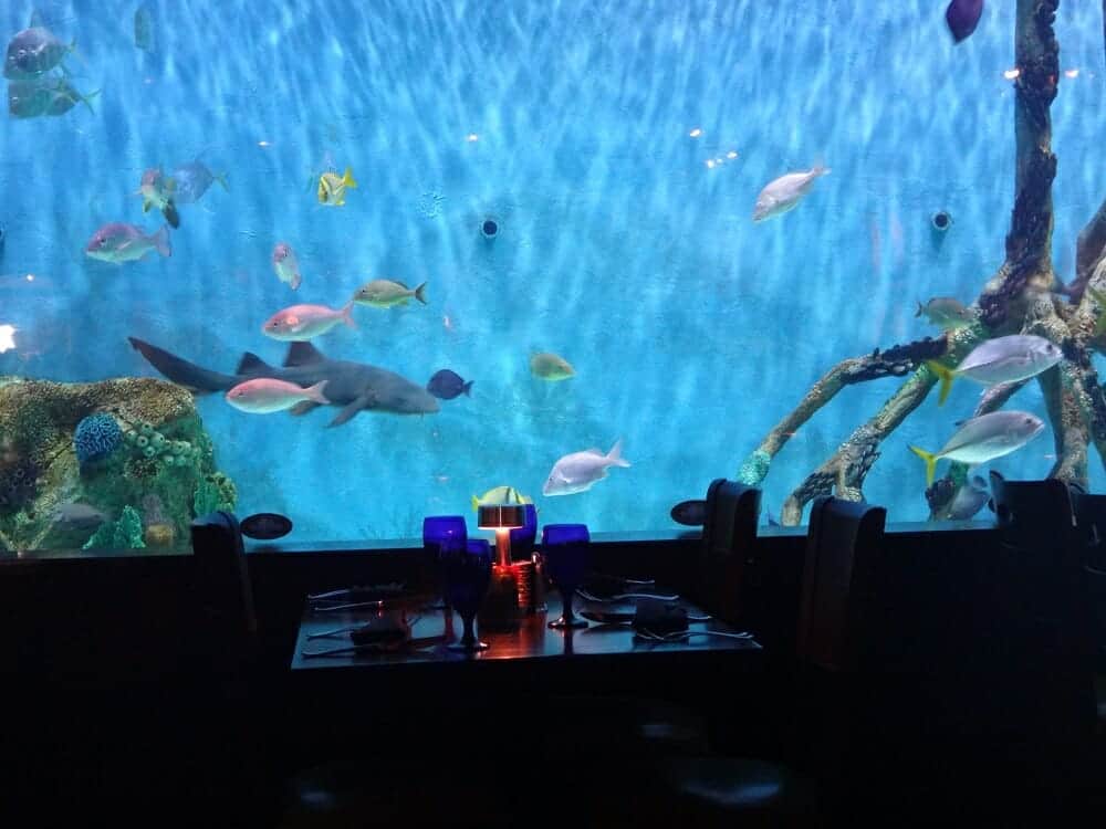 Giant aquarium at Rumfish Grill in St. Pete Beach, Florida 