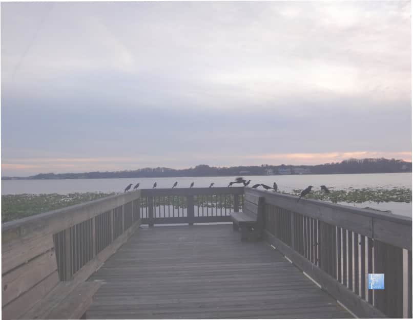 Sunset at John Chestnut Park in Palm Harbor, Florida