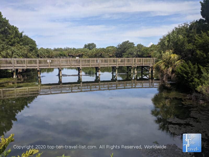 Wall Springs Park in Palm Harbor, Florida
