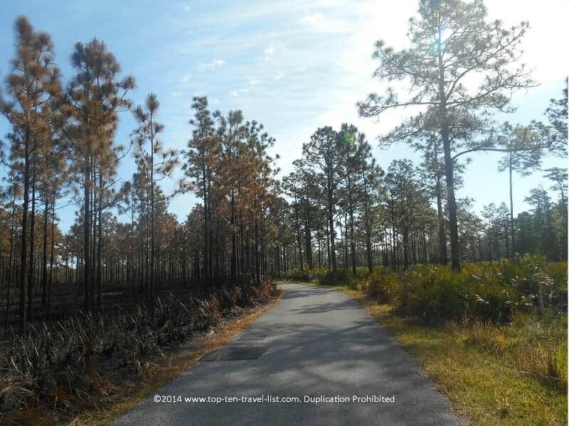 Beautiful scenery along the Jay B. Starkey Path in New Port Richey, Florida 