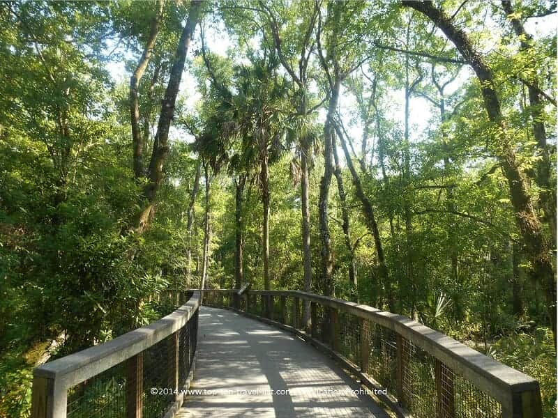The boardwalk trail at Brooker Creek preserve in Tarpon Springs, Florida 