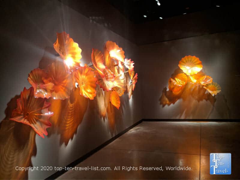 Amazing glass sculptures by Dale Chihuly at the Morean Art Center in St. Petersburg, Florida