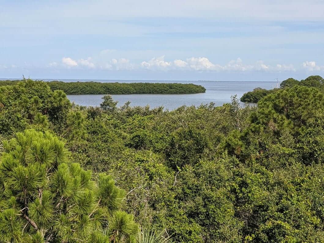Beautiful vista at Wall Springs Park in Palm Harbor, Florida 