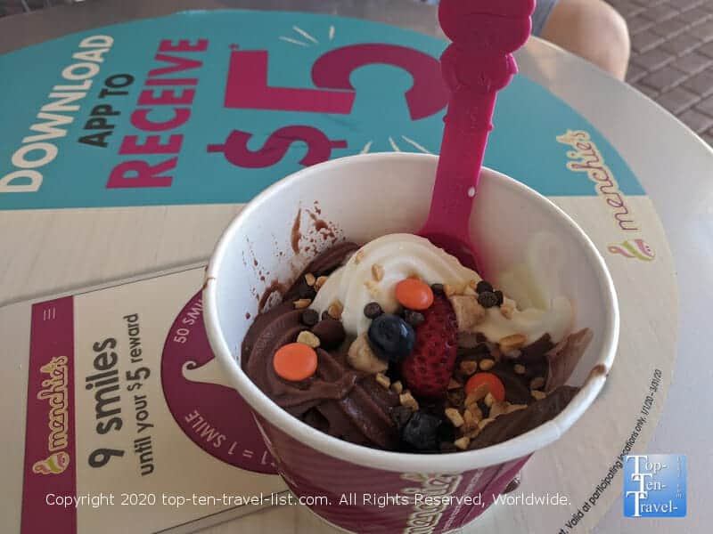Delicious vegan frozen yogurt flavors at Menchie's in Palm Harbor, Florida 