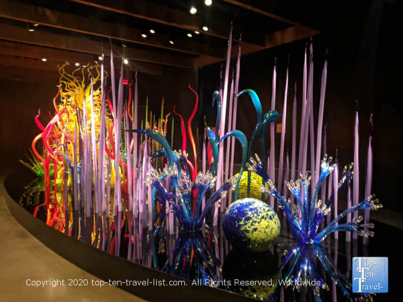 Mesmerizing glass blown art at the Chihuly Collection at the Morean Art Center in St. Petersburg, Florida