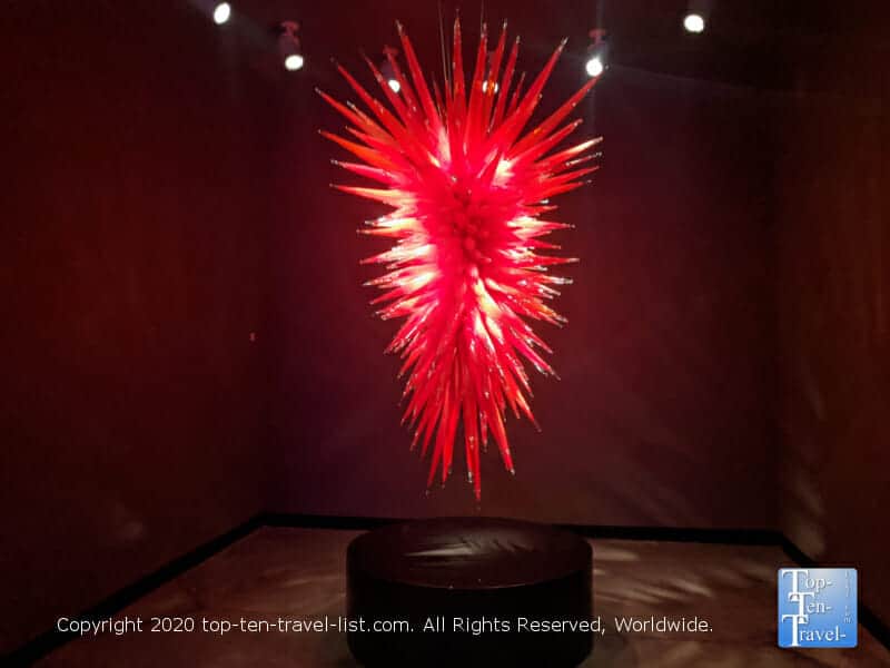 Mesmerizing glass blown art sculpture by Dale Chihuly at the Morean Art Center in St. Petersburg, Florida