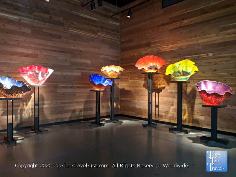 Wonderful glass blown art exhibit at the Morean Art Center in St. Petersburg, Florida