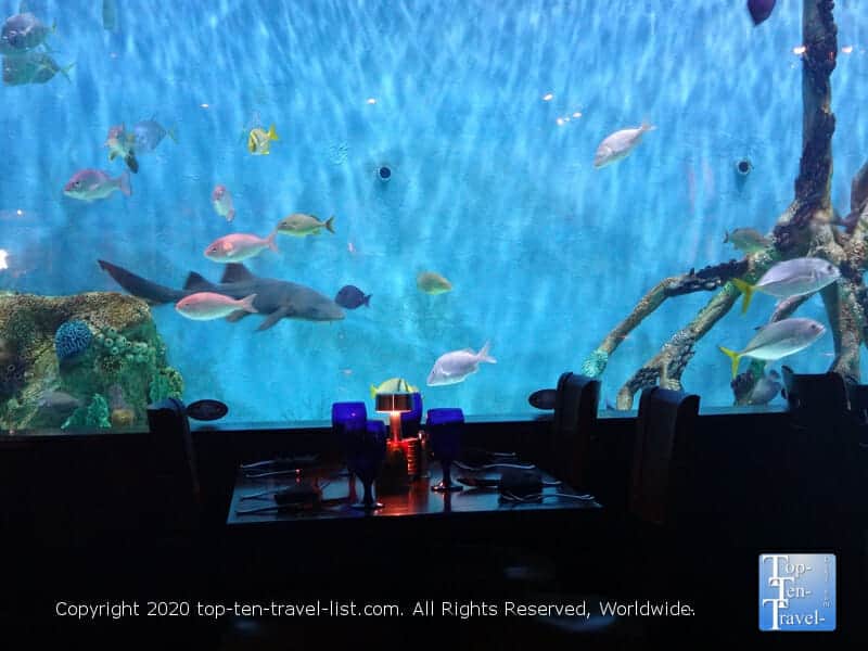 Massive aquarium at Rumfish Grill in St. Pete Beach, Florida 