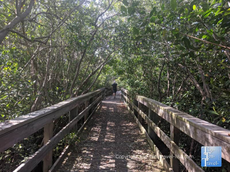 Boardwalk nature trail at Hammock Park in Dunedin, Florida 