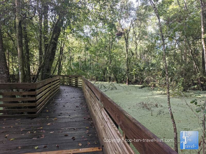 The boardwalk trail at John B. Sargeant Park in Tampa, Florida