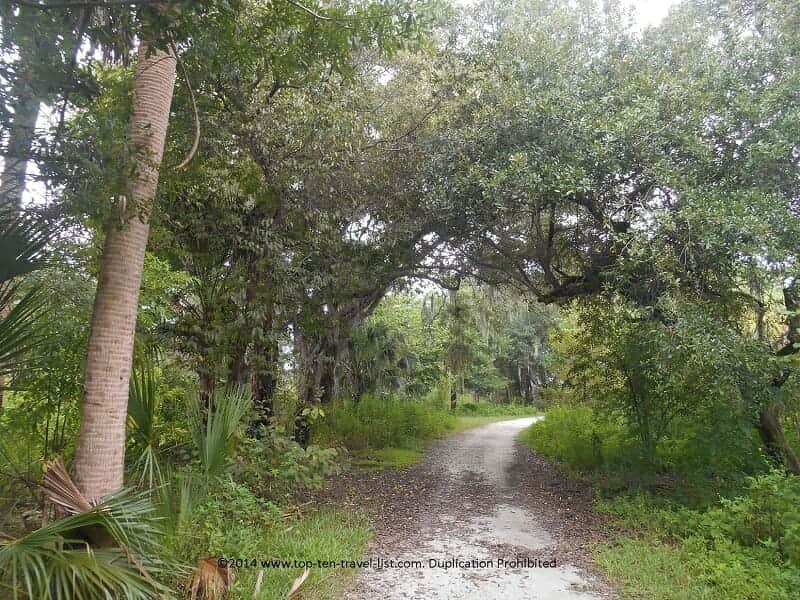 Nature trail at Boyd Hill Preserve in St. Petersburg, Florida