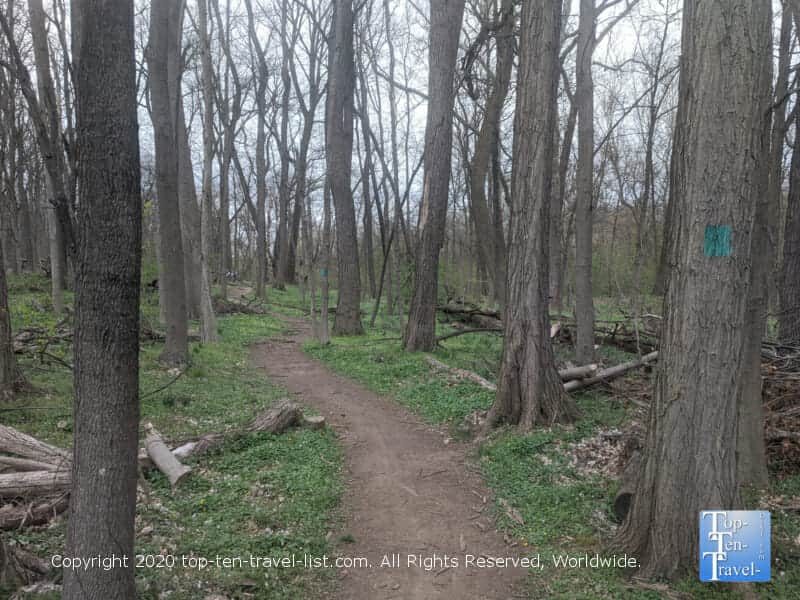 Hiking at the gorgeous Four Mills nature preserve in Pennsylvania