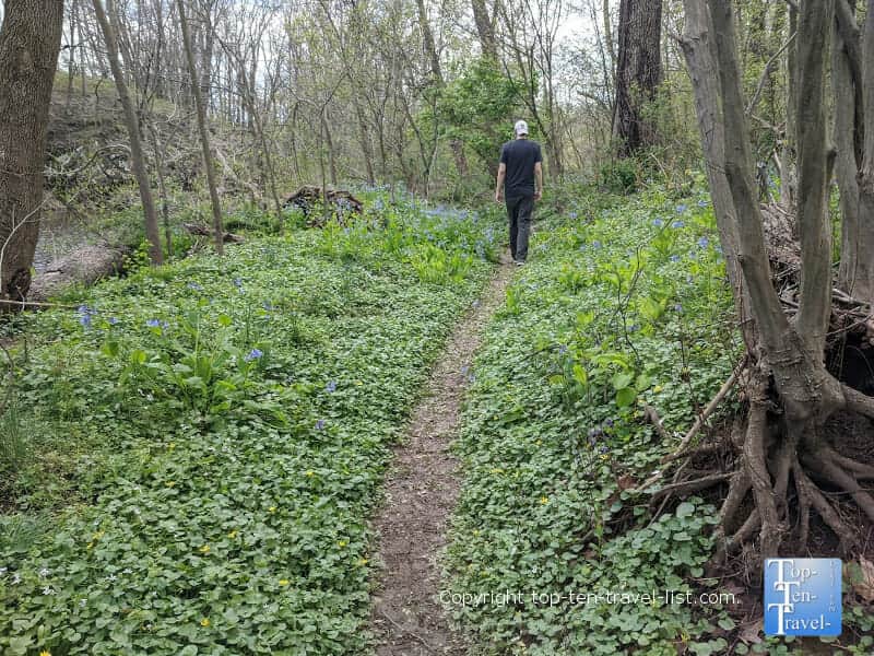 Hiking trail at Tyler State Park in Bucks County, Pennsylvania 