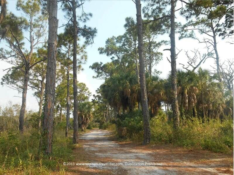 Nature trail at Honeymoon Island State Park in Dunedin, Florida 