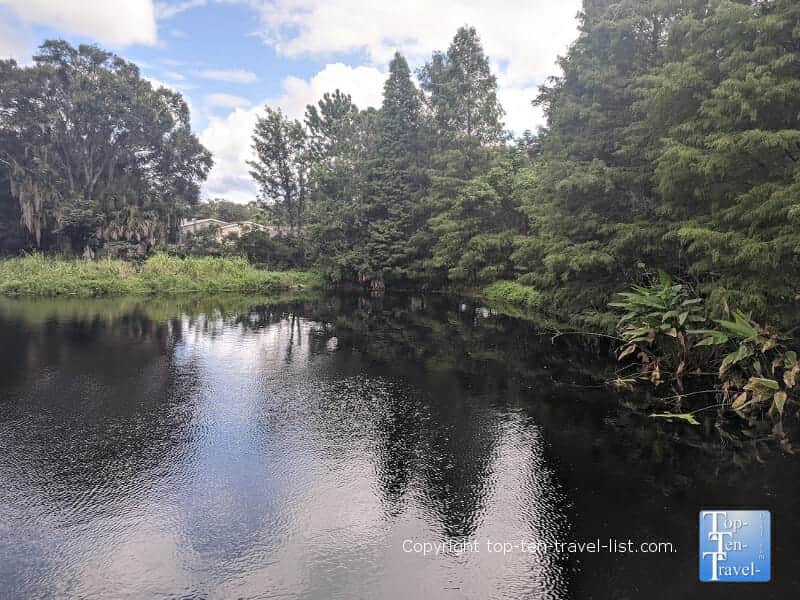 Beautiful lake scenery at Moccasin Lake Nature Park in Clearwater, Florida