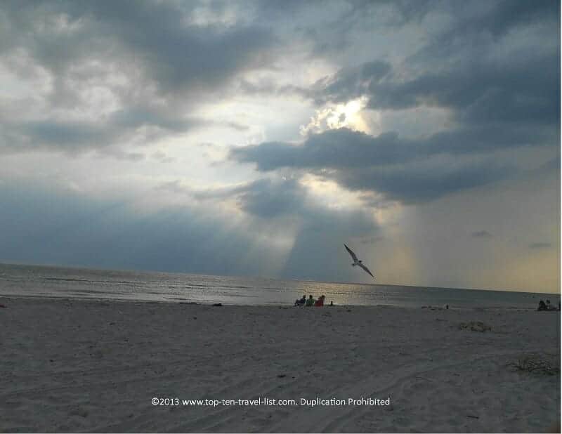 Relaxing day on Honeymoon Island beach in Dunedin, Florida