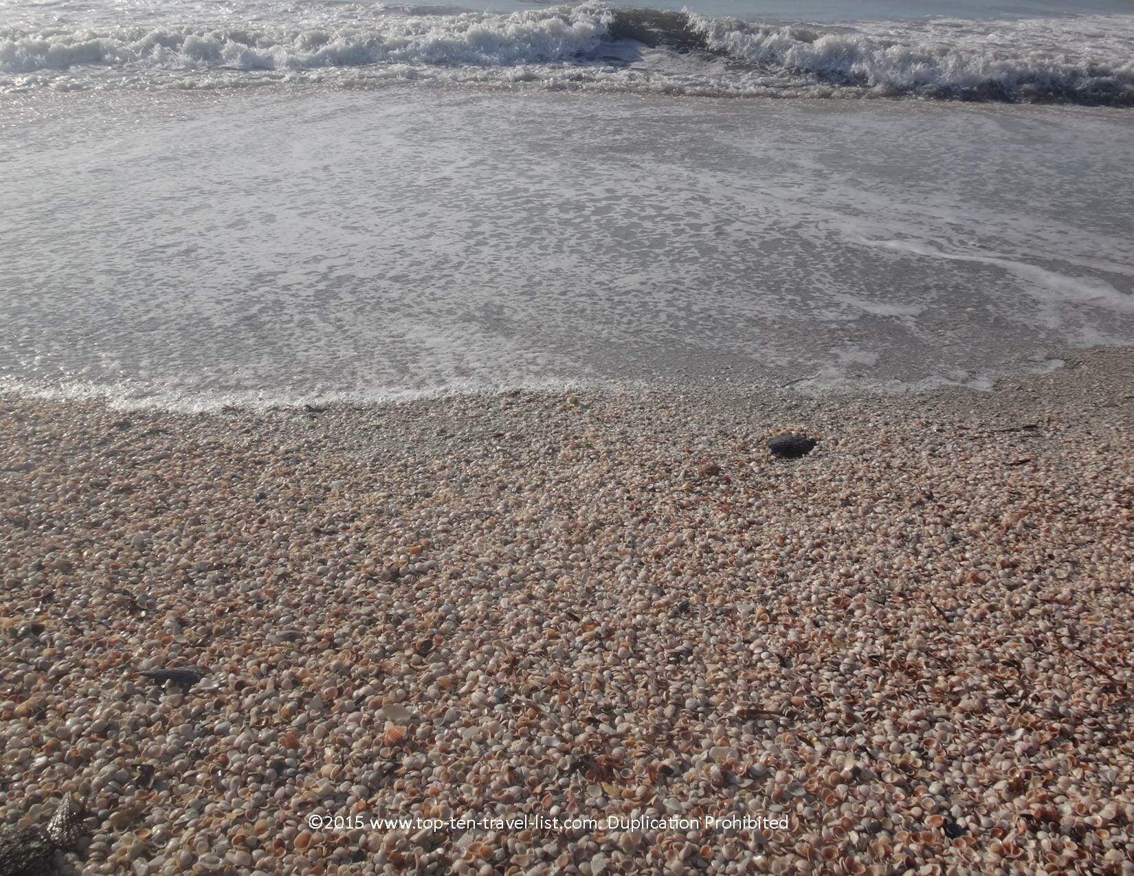 Beachcombing at Sand Key State Park in Clearwater, Florida 