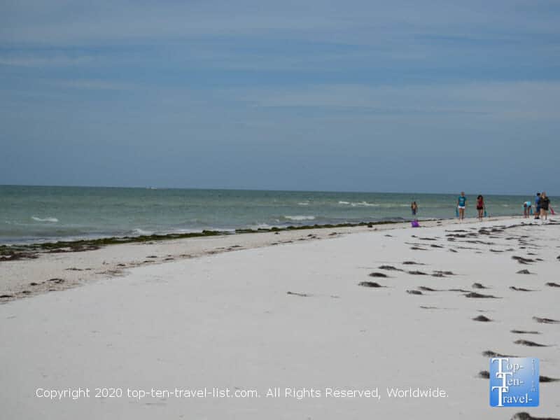 Quiet day beachcombing at Anclote Island