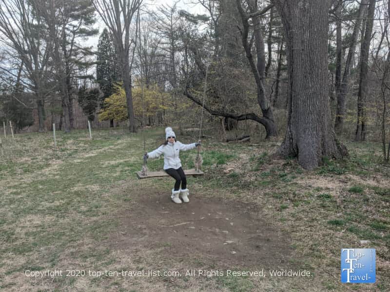 Tree swing at Natural Lands Saunders Preserve in Gladwyne, PA