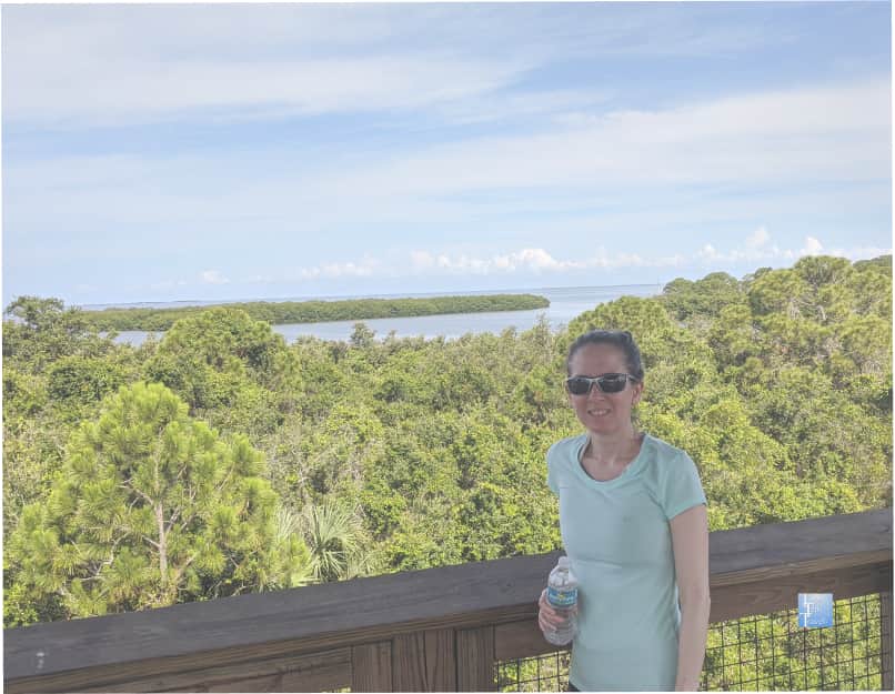 Overlook at Wall Springs Park in Palm Harbor