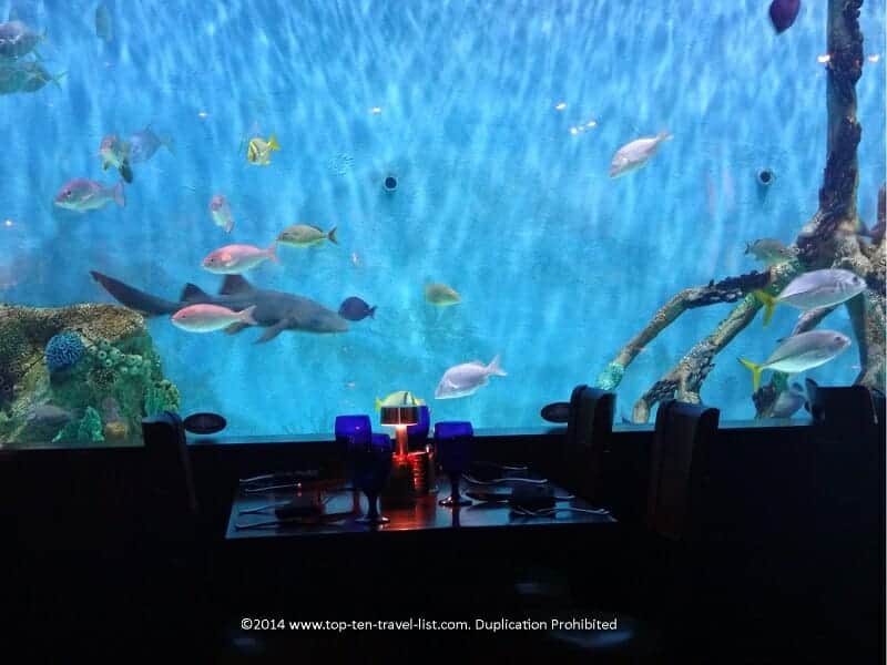 Aquarium at Rumfish Grill, featured on Animal Planet tv series Tanked