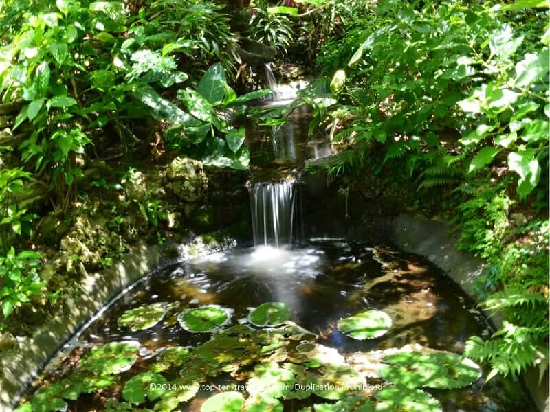 Serene waterfall at Sunken Gardens in St. Petersburg, Florida 