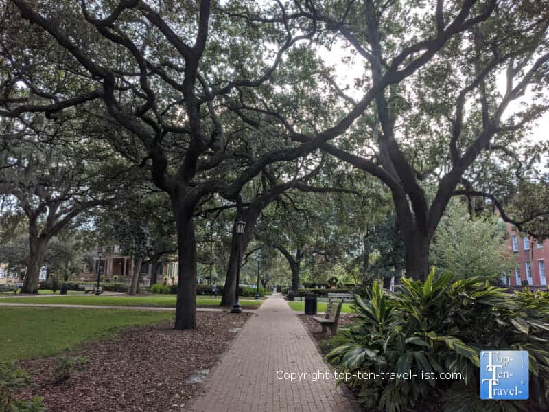 Beautiful Oglethorpe Square in Savannah, Georgia