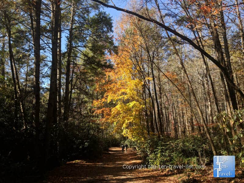 Beautiful fall color at Dupont State Forest in Western North Carolina 