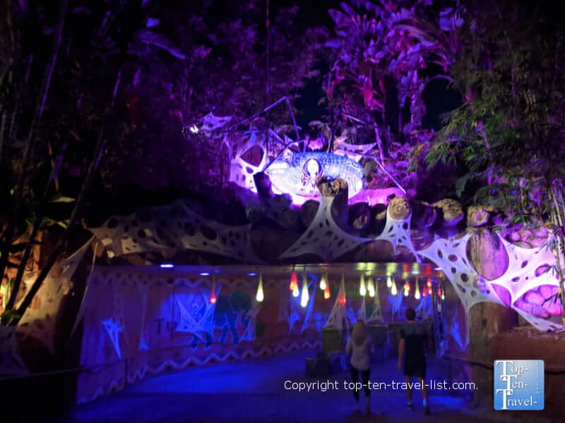 Creatures of the Night Halloween event at Zoo Tampa