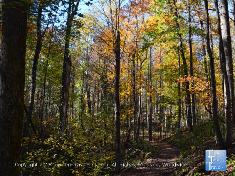 Pretty fall color along the Carrick Creek nature trail at Table Rock State Park in Upstate South Carolina 