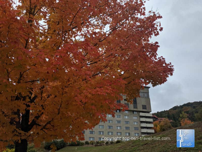 Beautiful fall color in Asheville, North Carolina 