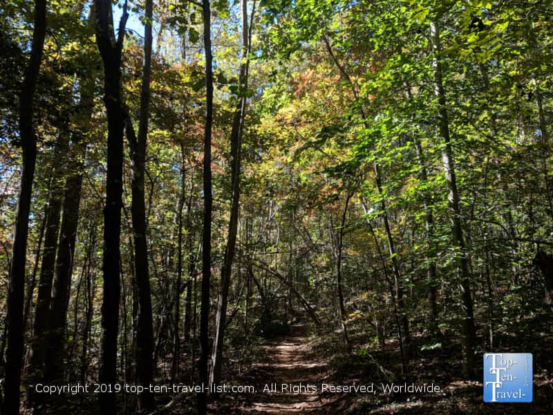 A tranquil fall leaf peeping walk at Paris Mountain State Park in Greenville, South Carolina 