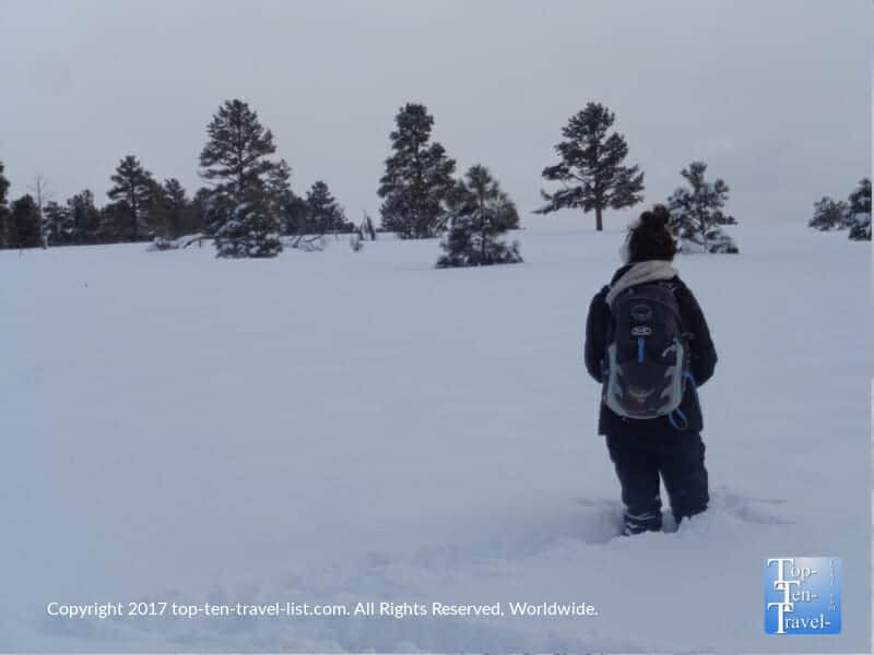 3 feet of snow in Flagstaff, Arizona