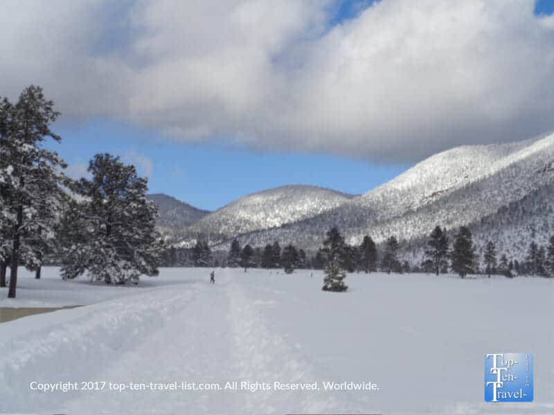 Winter walk at Buffalo park in Flagstaff, Arizona