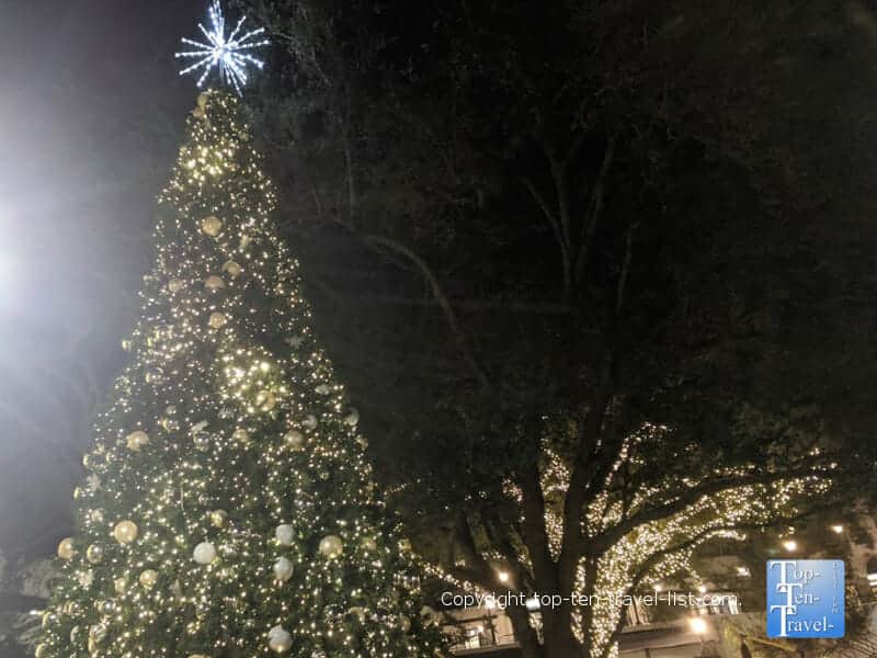 Christmas tree at Hyde Park Village in Tampa, Florida